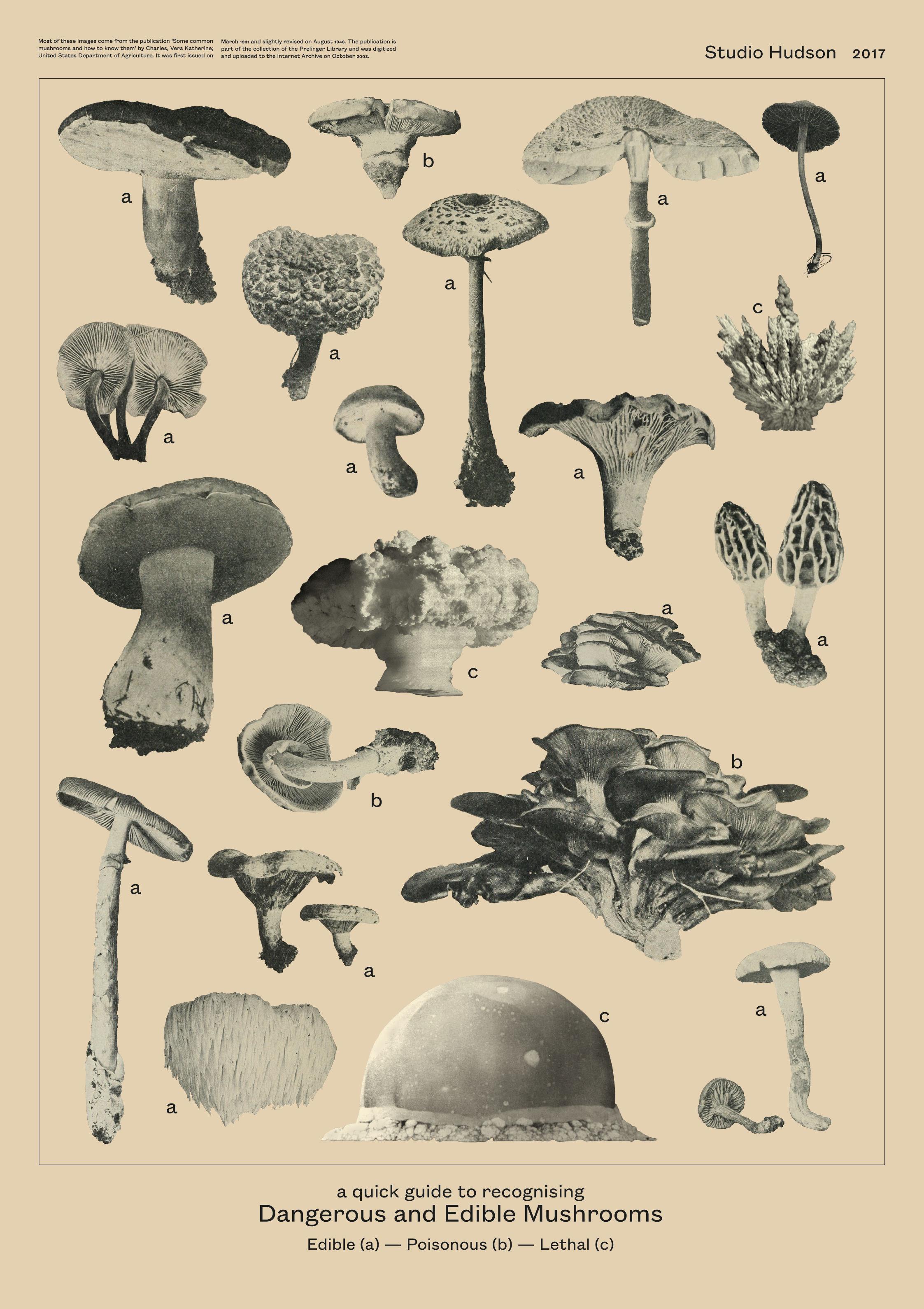 Poster • Graphic Matters