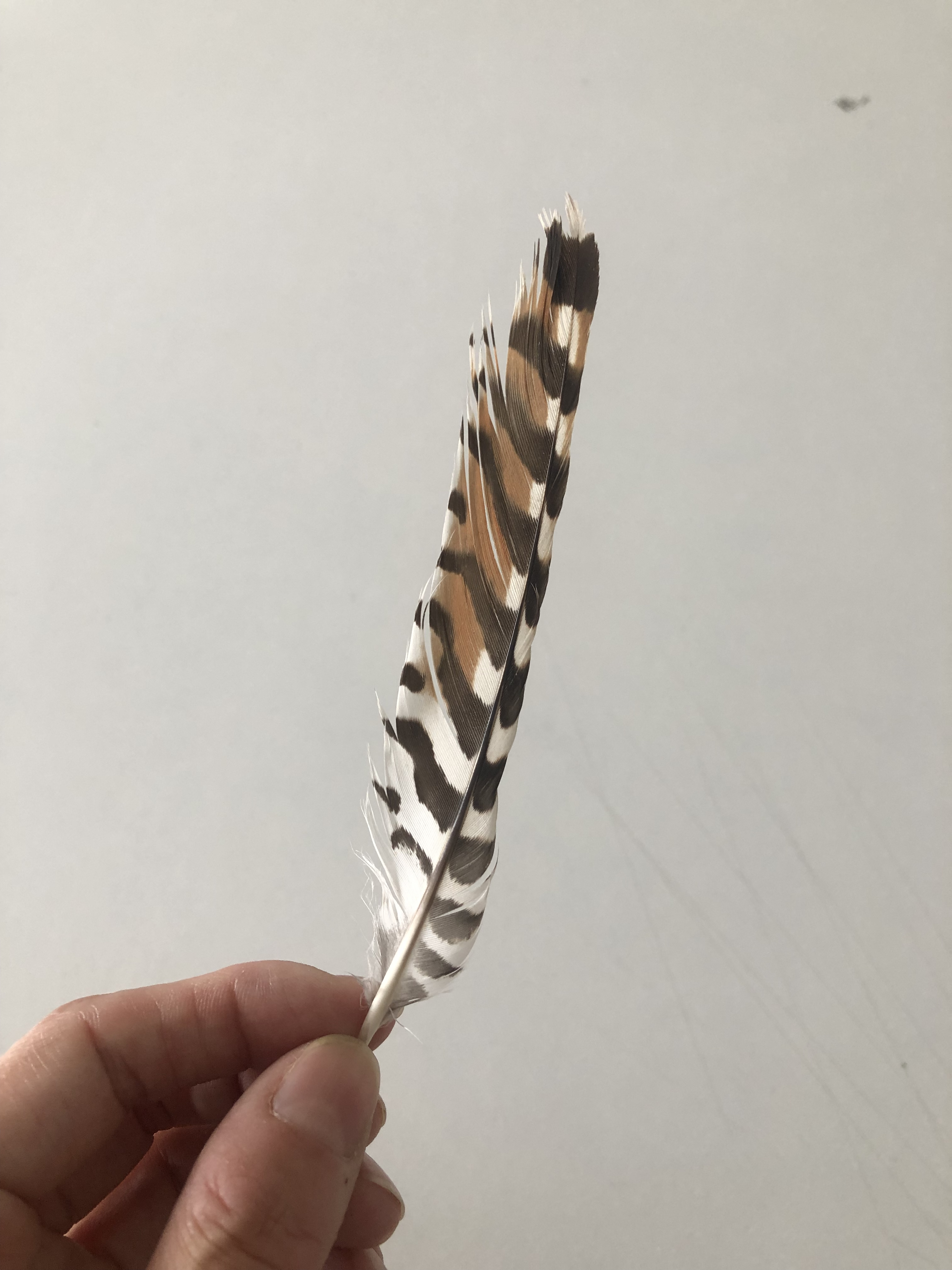 06.09.2023, Orta Bahçe