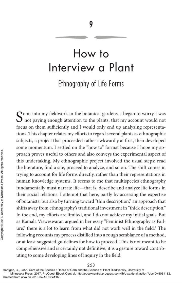  How to Interview a Plant