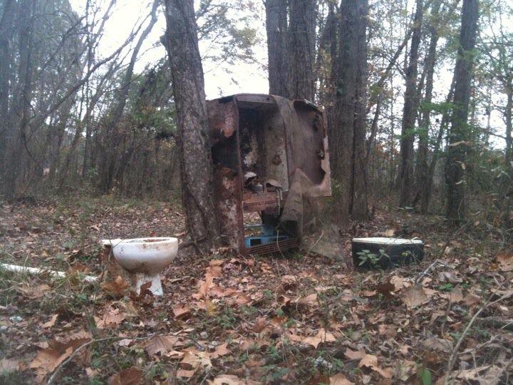 bringing natural items and found objects