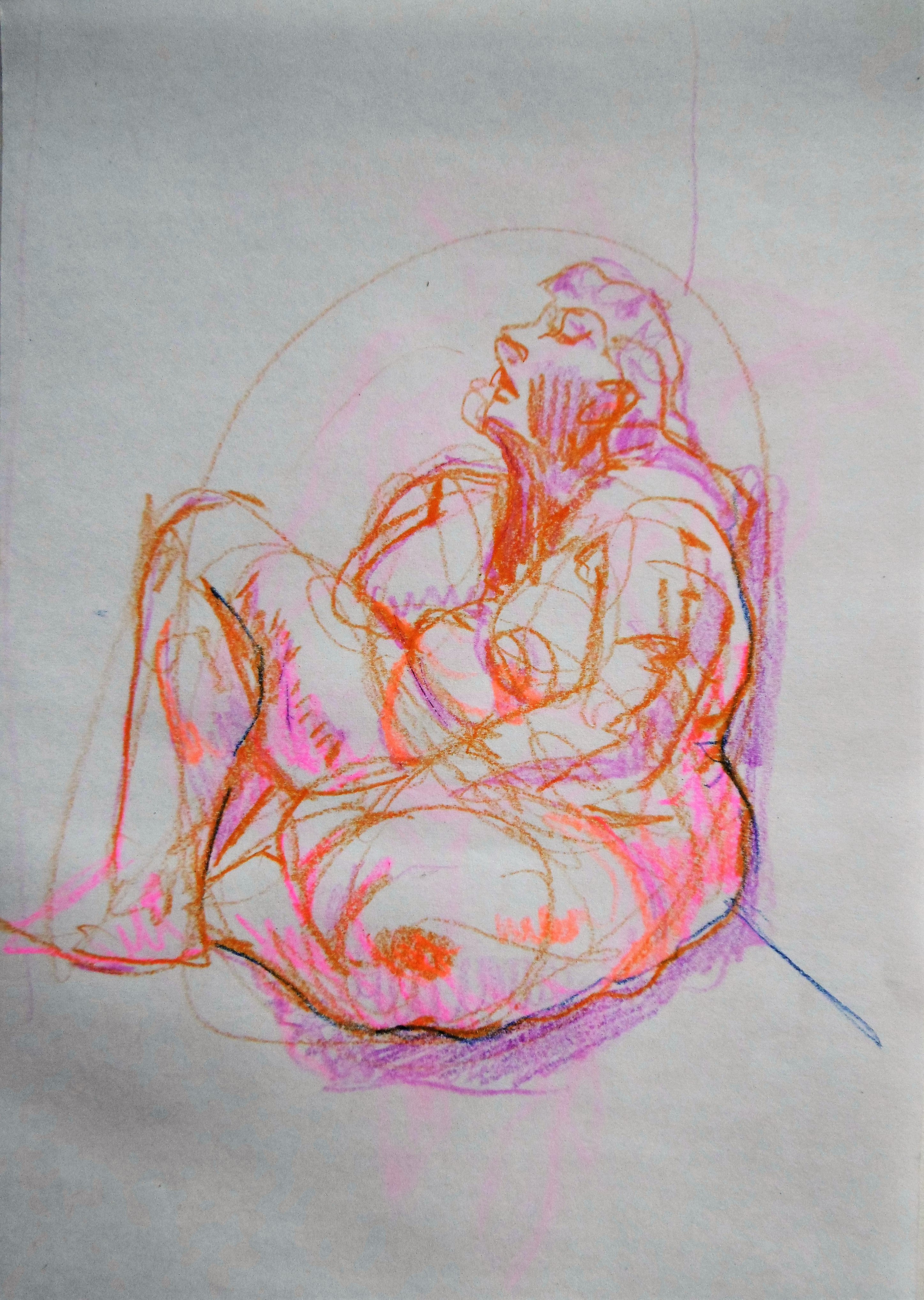 Trixie, coloured pencil on paper, 15 x 10cm, sold