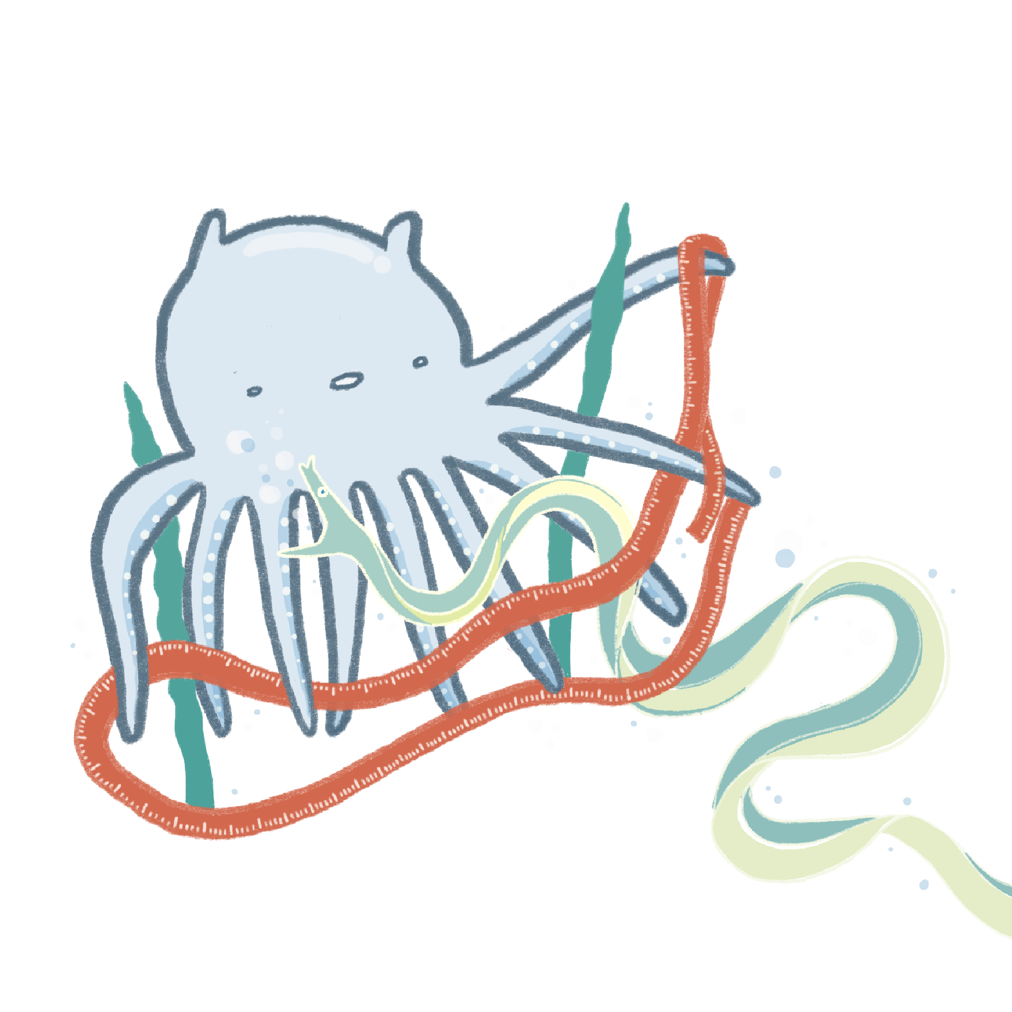 octoboi measuring a ribbon eel