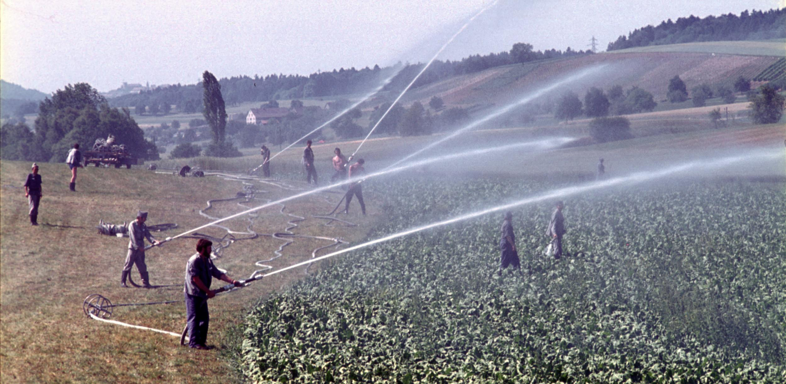 Irrigation in extreme situations, Regensdorf. Source: Comet Photo AG (Zürich).