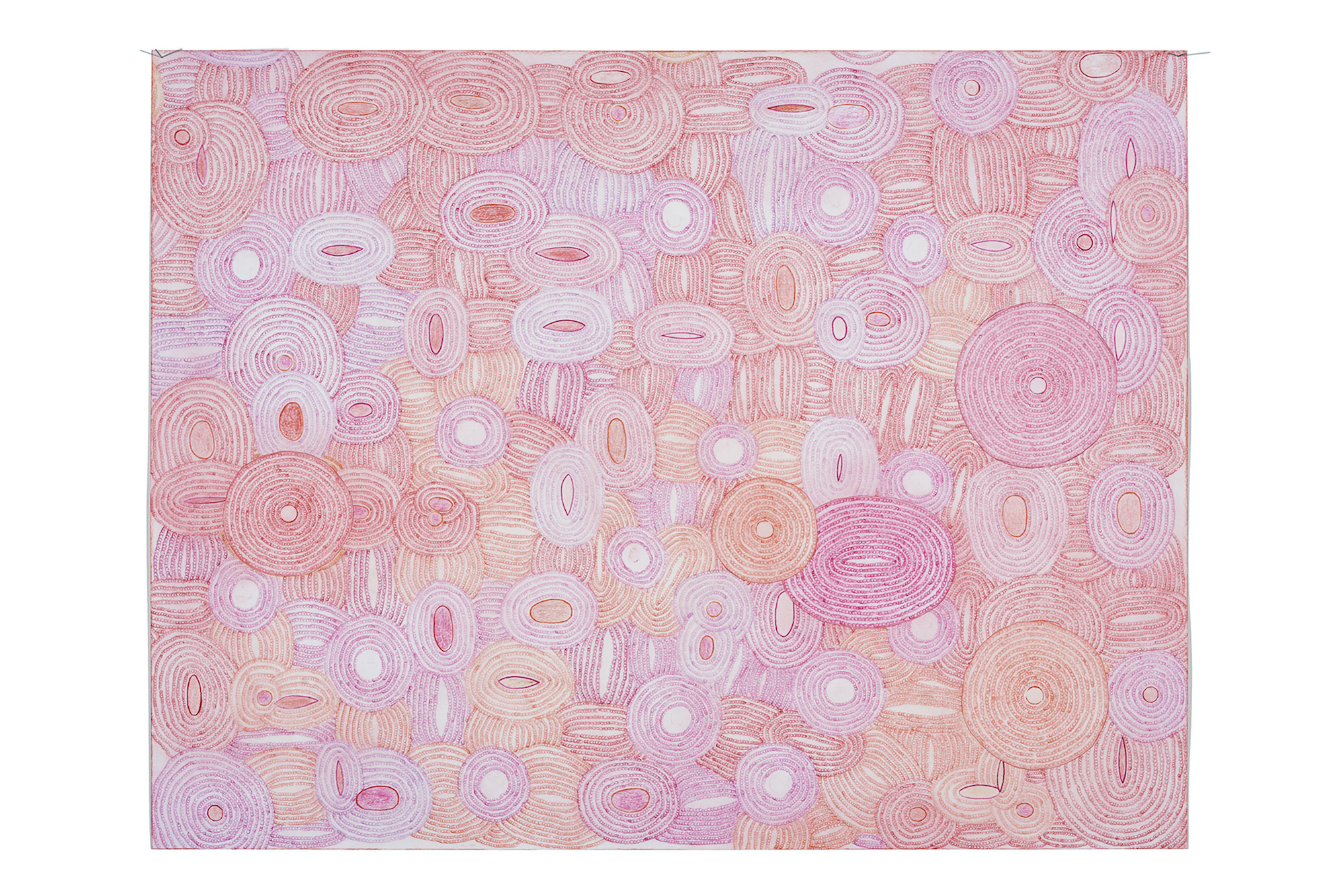  ’Circularity’, 2023/2024. Color pencil on paper. 50 x 65 cm