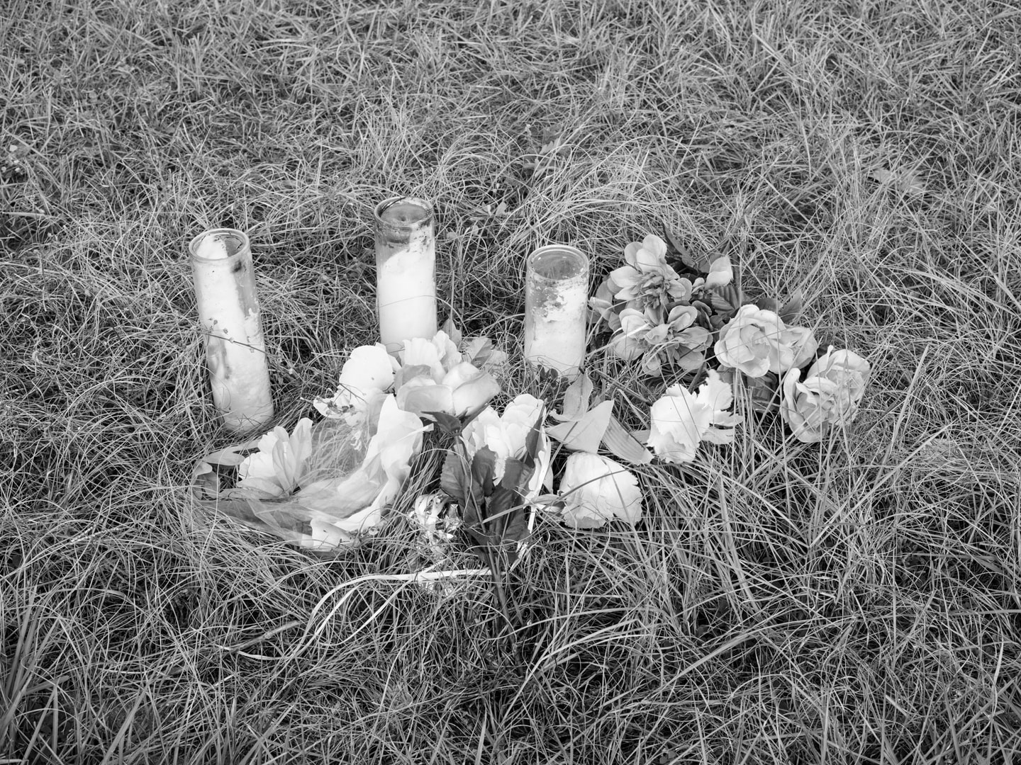 Memorial for India Clarke, 2015