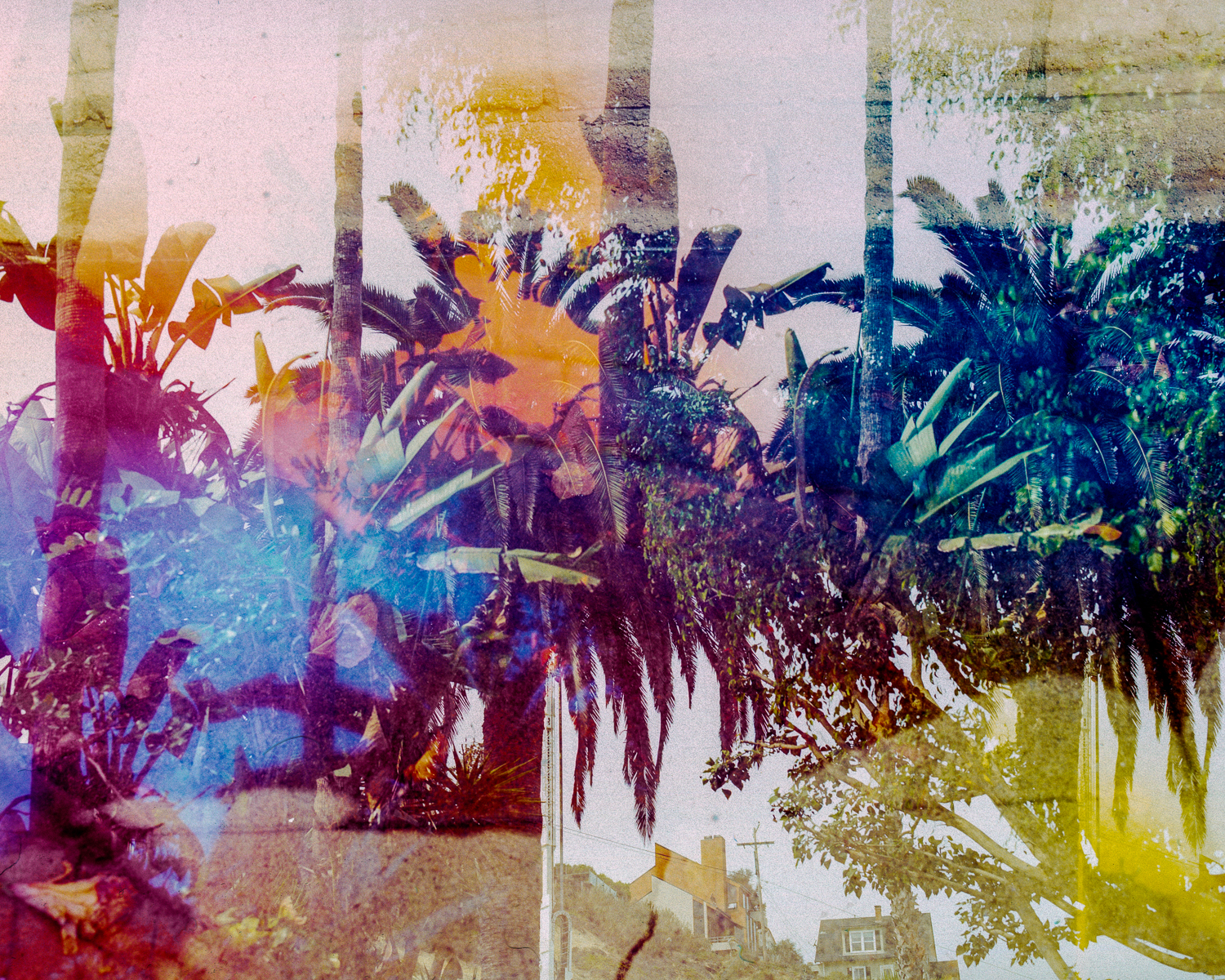 Untitled (LA), 2018, Archival Inkjet Print, Dimensions Variable