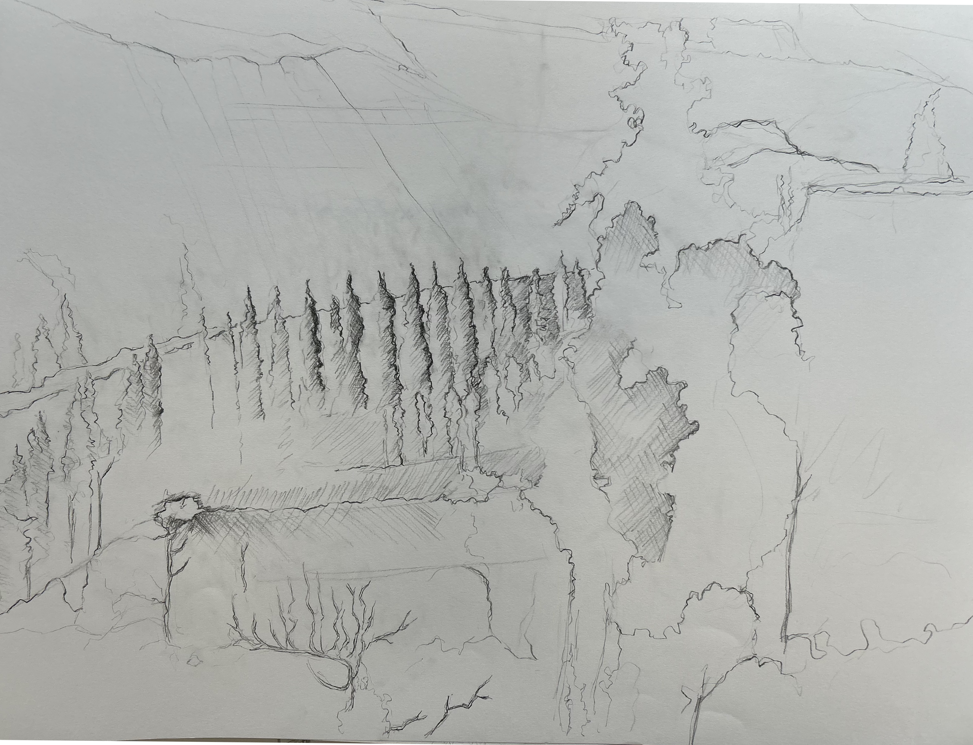 Drawing from Nocturne performance 