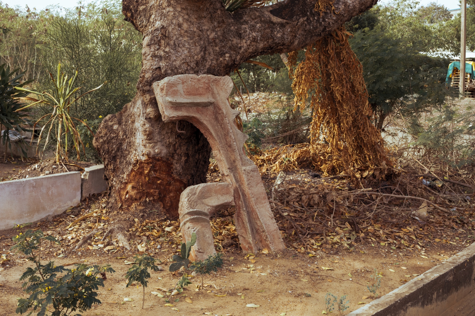 Opoku_Kwaku_Tema-IR_UO-4