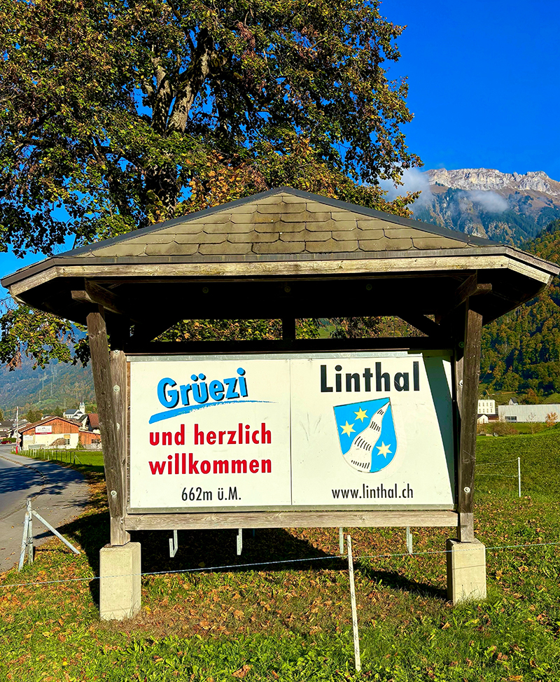 WARUM WIR HIER SIND - GESCHICHTEN AUS LINTHAL von Solara Vasconcelles