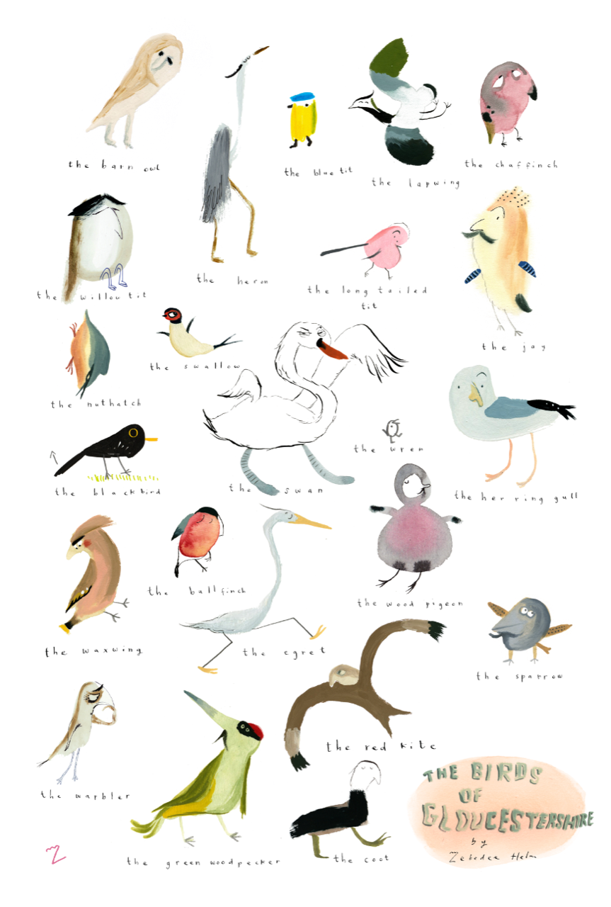 The Birds of Gloucestershire