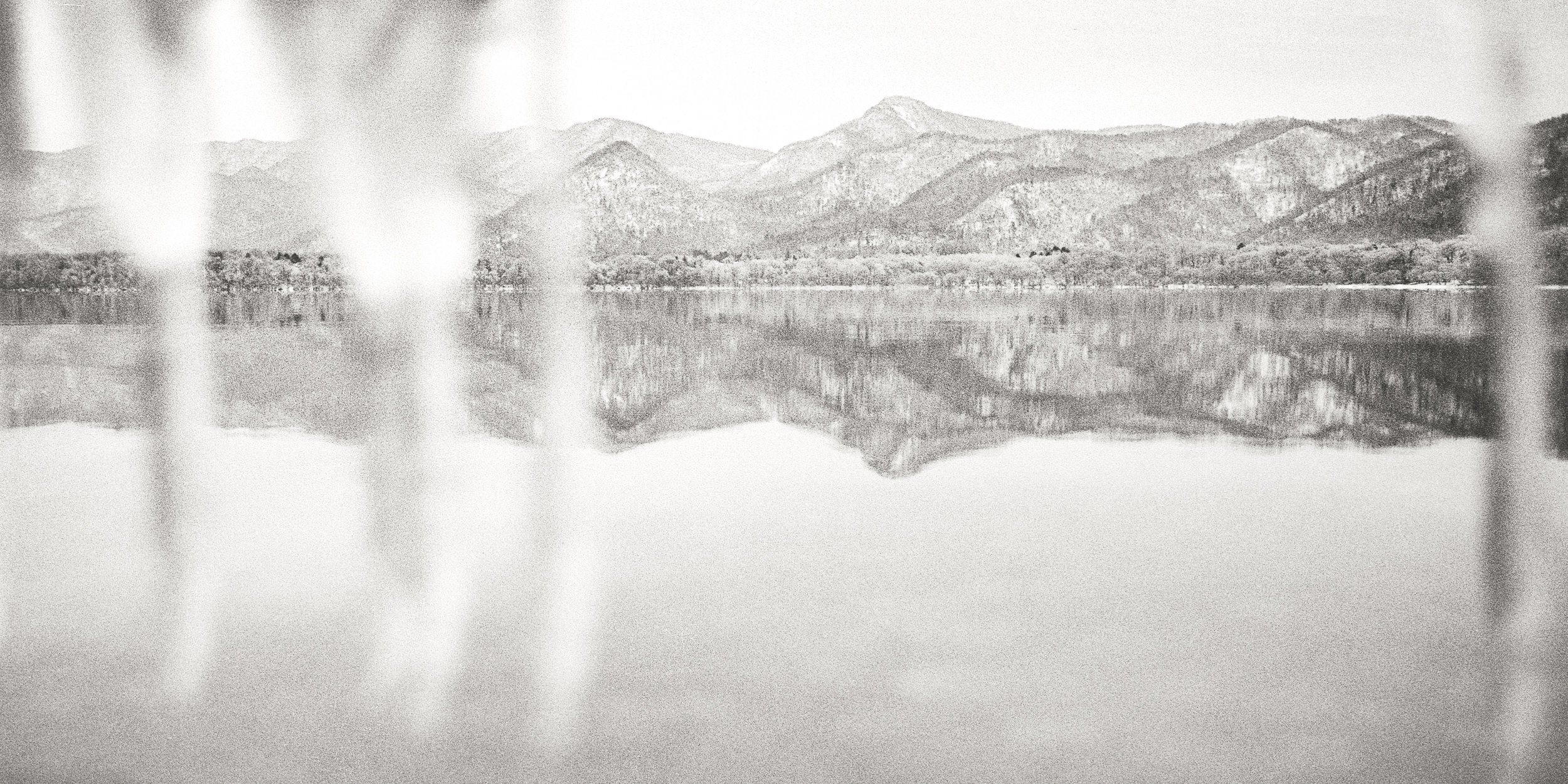 REVERIE | 2019 | Silver gelatin print on Ilford fiber paper