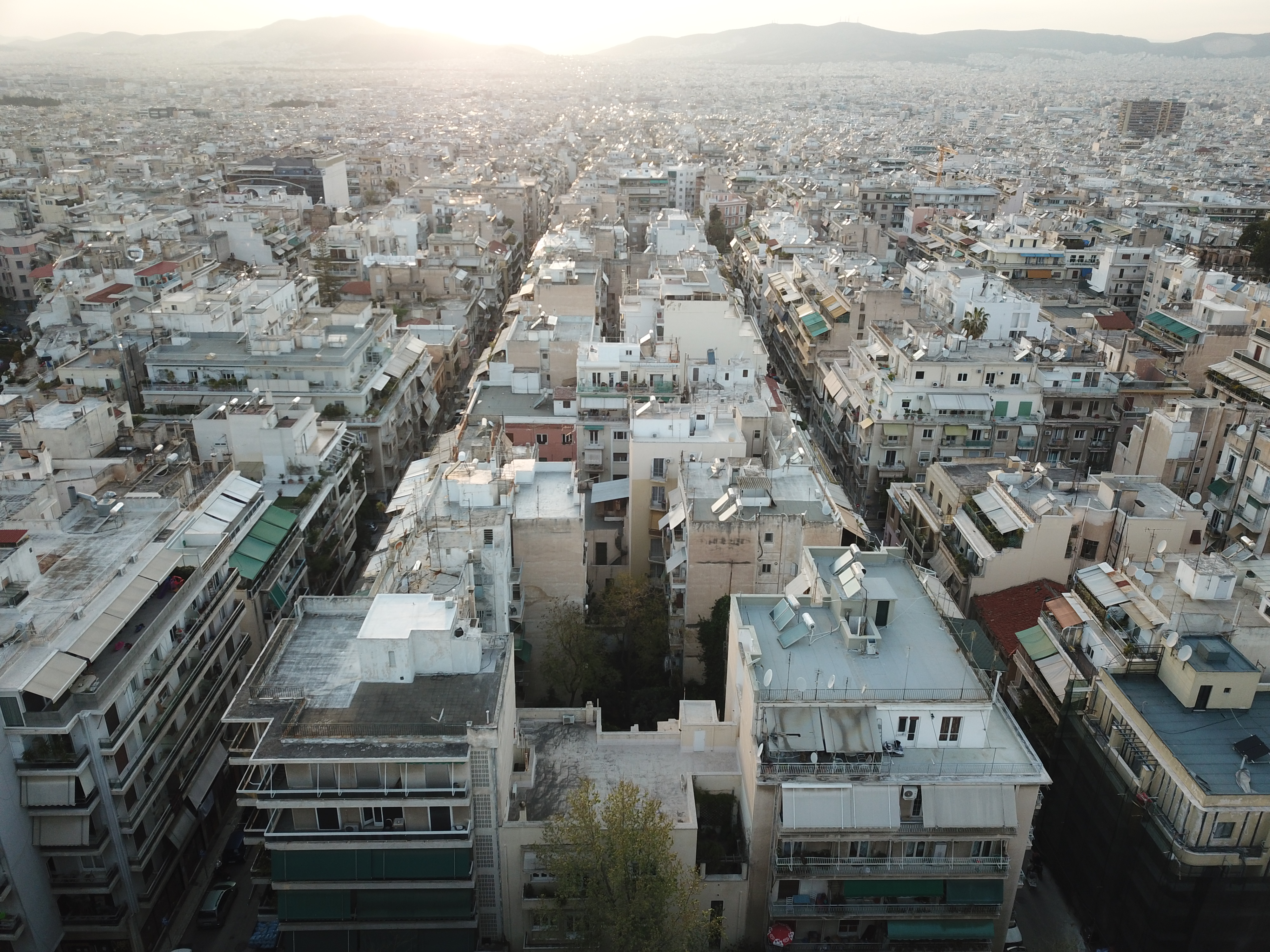  © Coastal Domains Studio_Livestream