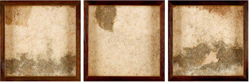 Epargne I, Triptyque, (30x30cm)x3, 2020