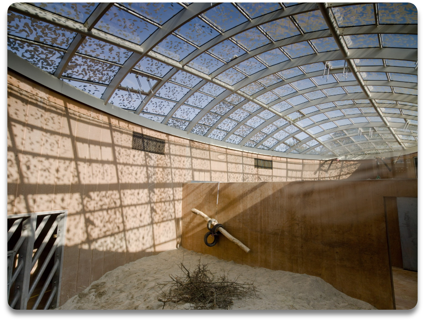 大象屋 Elephant House