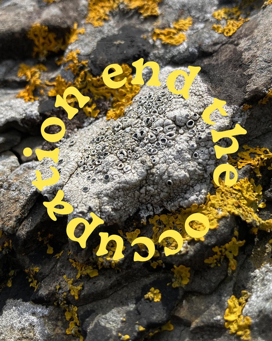 Aster Reem David, images from a digital repository of Palestine Solidarity Posters. Image courtesy of the artist.