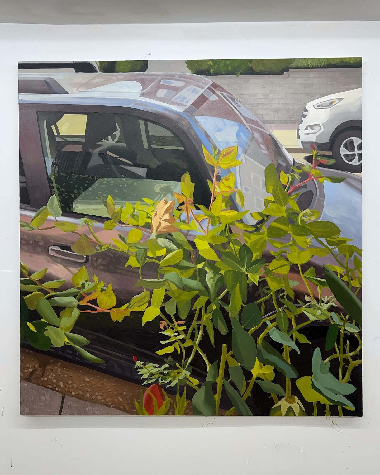 untitled / oil on canvas / 2024