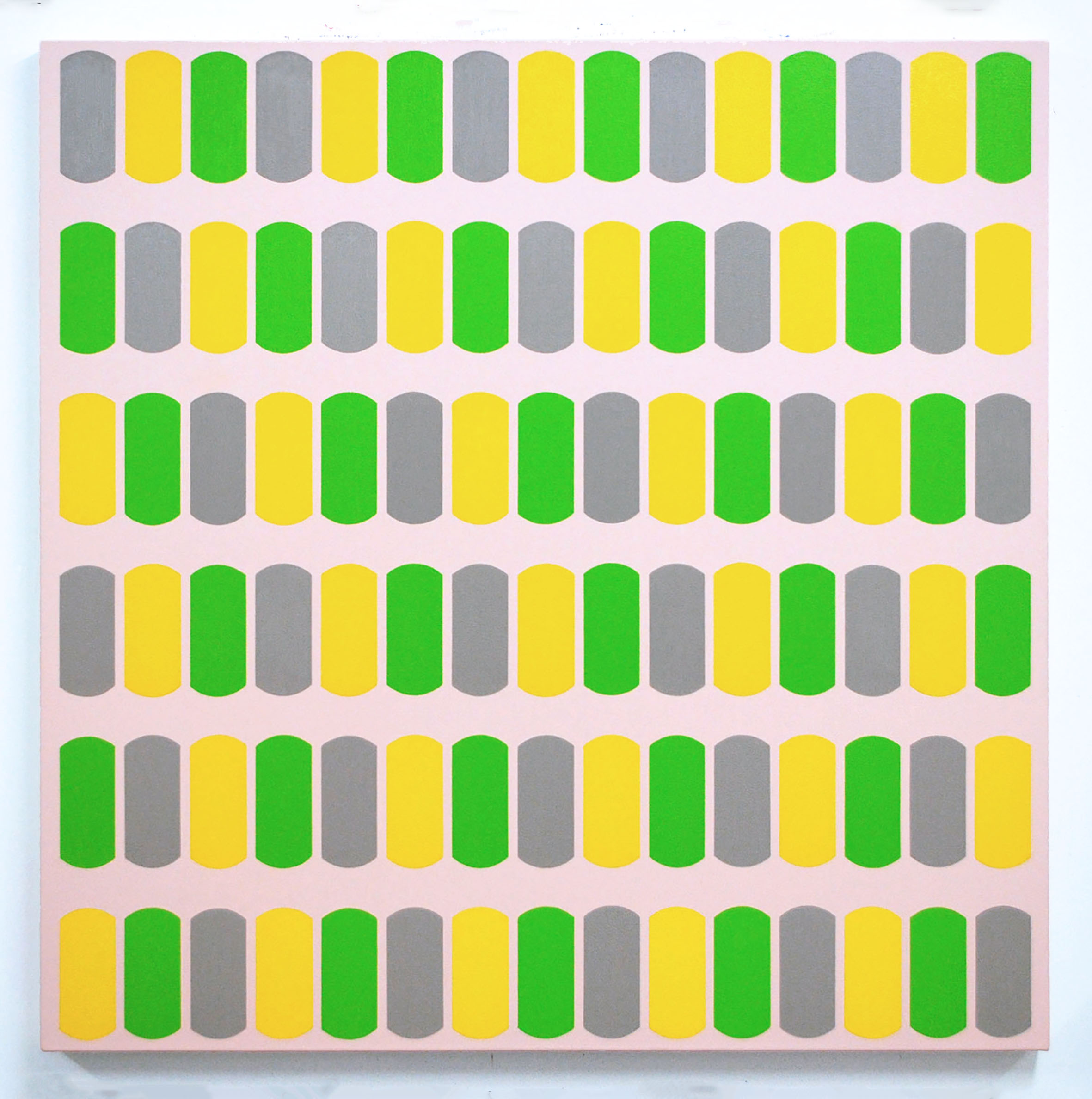 Scuta XV 100cm x 100cm oil and acrylic on canvas 2014