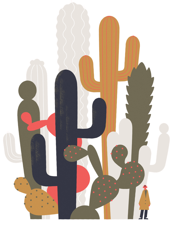 Succulent Plants for Ignant