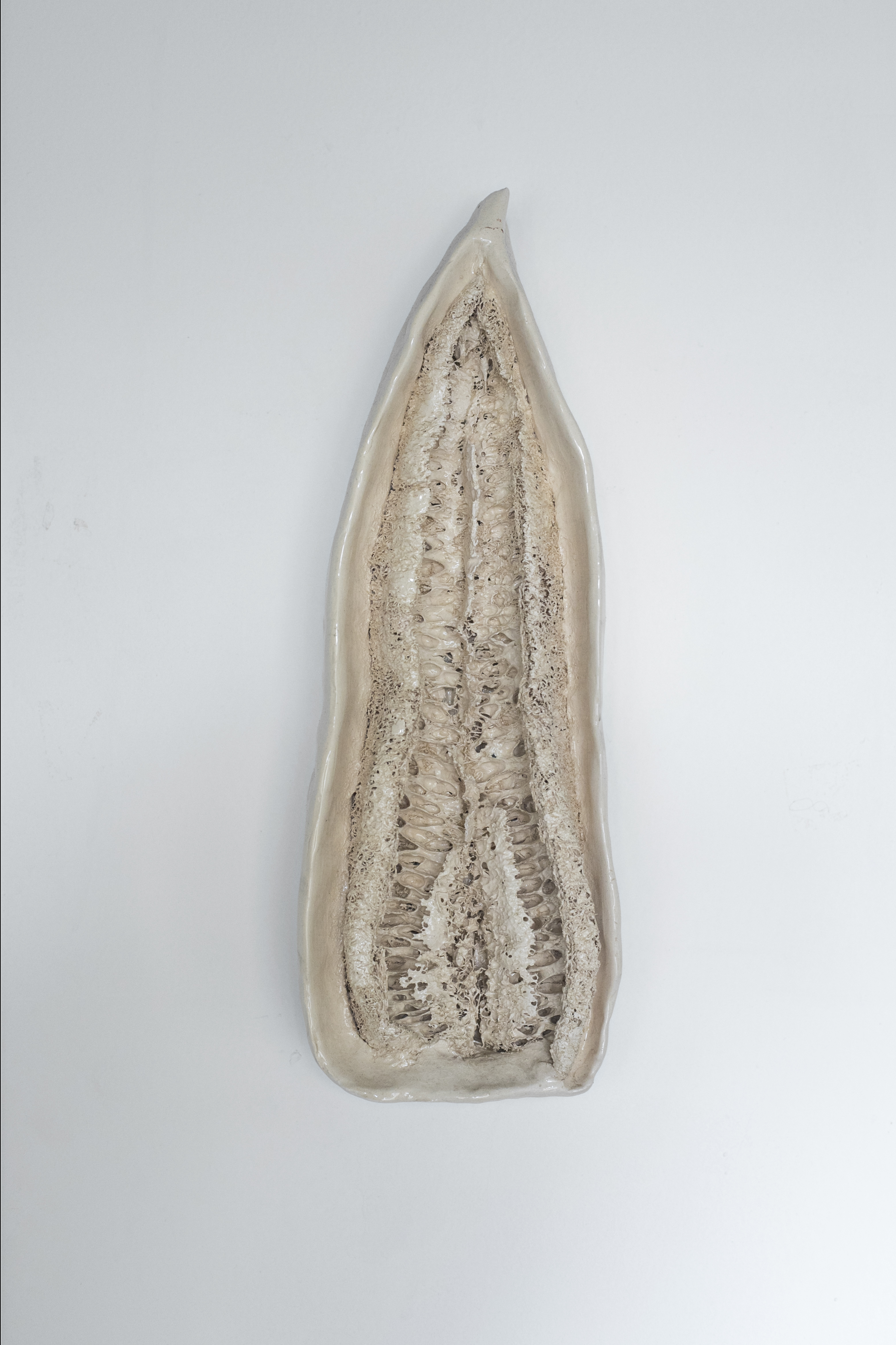 Ceramics and Luffa (vegetable fiber) 40 x 8 x 15cm Bogot&aacute; 2017 This is an organic reflection on the shape of a vagina and its similarities with the Virgin Mary's representations. In Latin American societies, the veneration of the feminine maternal figure of virgin Mary is highly contrasted with the violence ej ected towards women who want to own their sexuali ty. I immersed an intervened dry Luffa frui t in liquid clay and sculpted i t around.