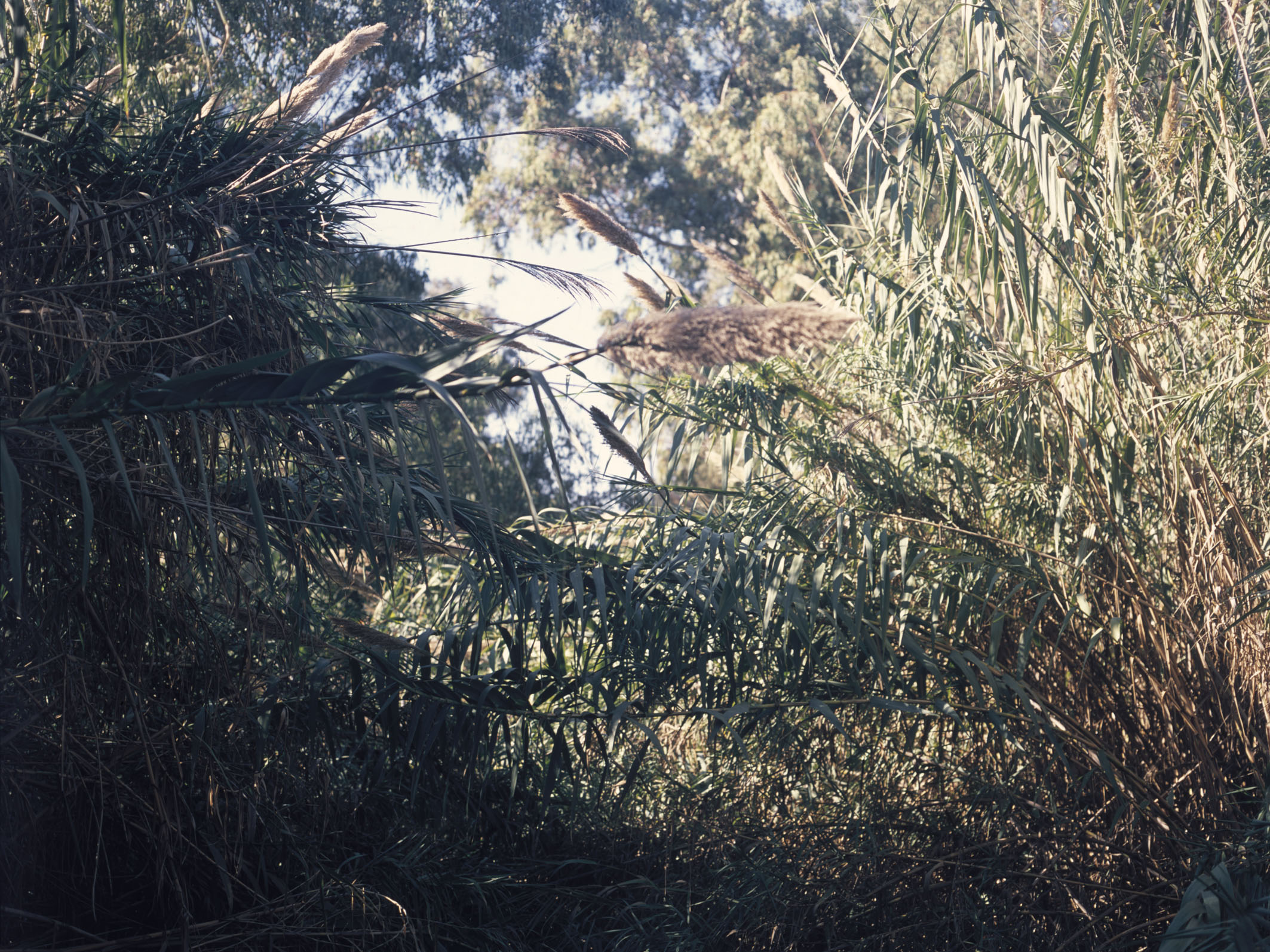 Untitled (the national stadium 2), archival pigment print, 60X80 cm