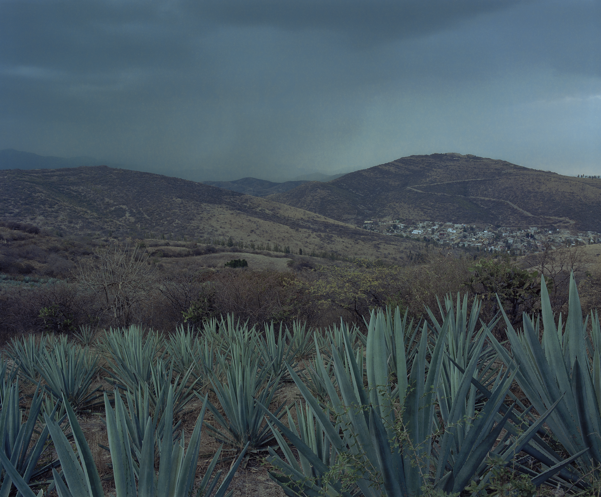 10/35, Untitled 2022