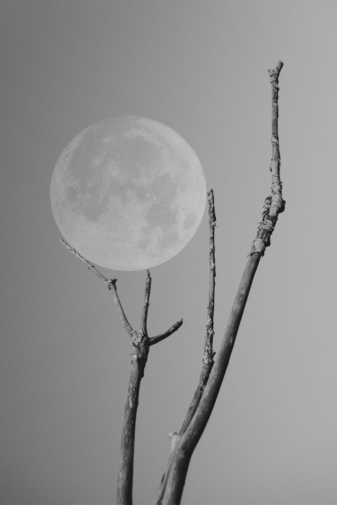 original image by Eugene Golovesov