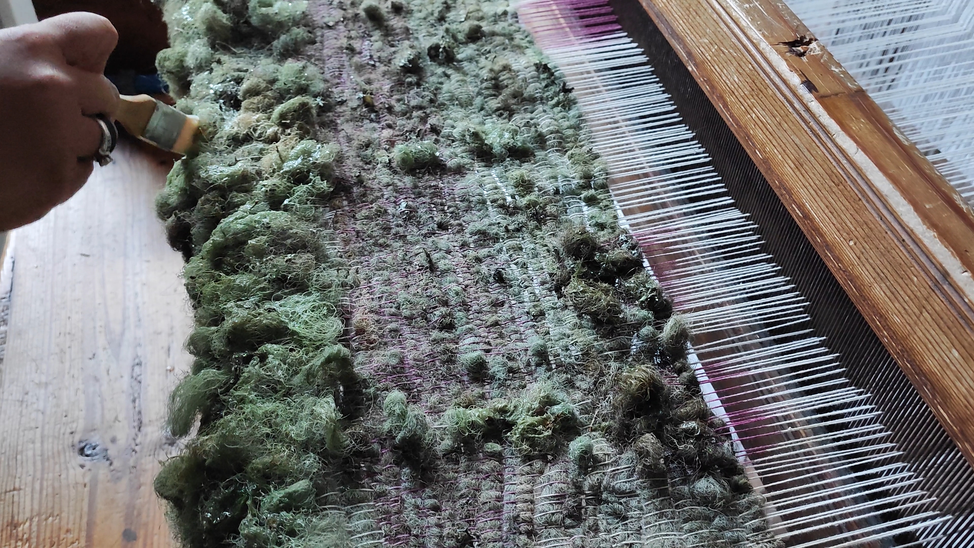 The artist noticed that the lichens change colour when in contact with water.