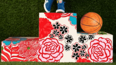 Onitsuka Tiger Made of Japan