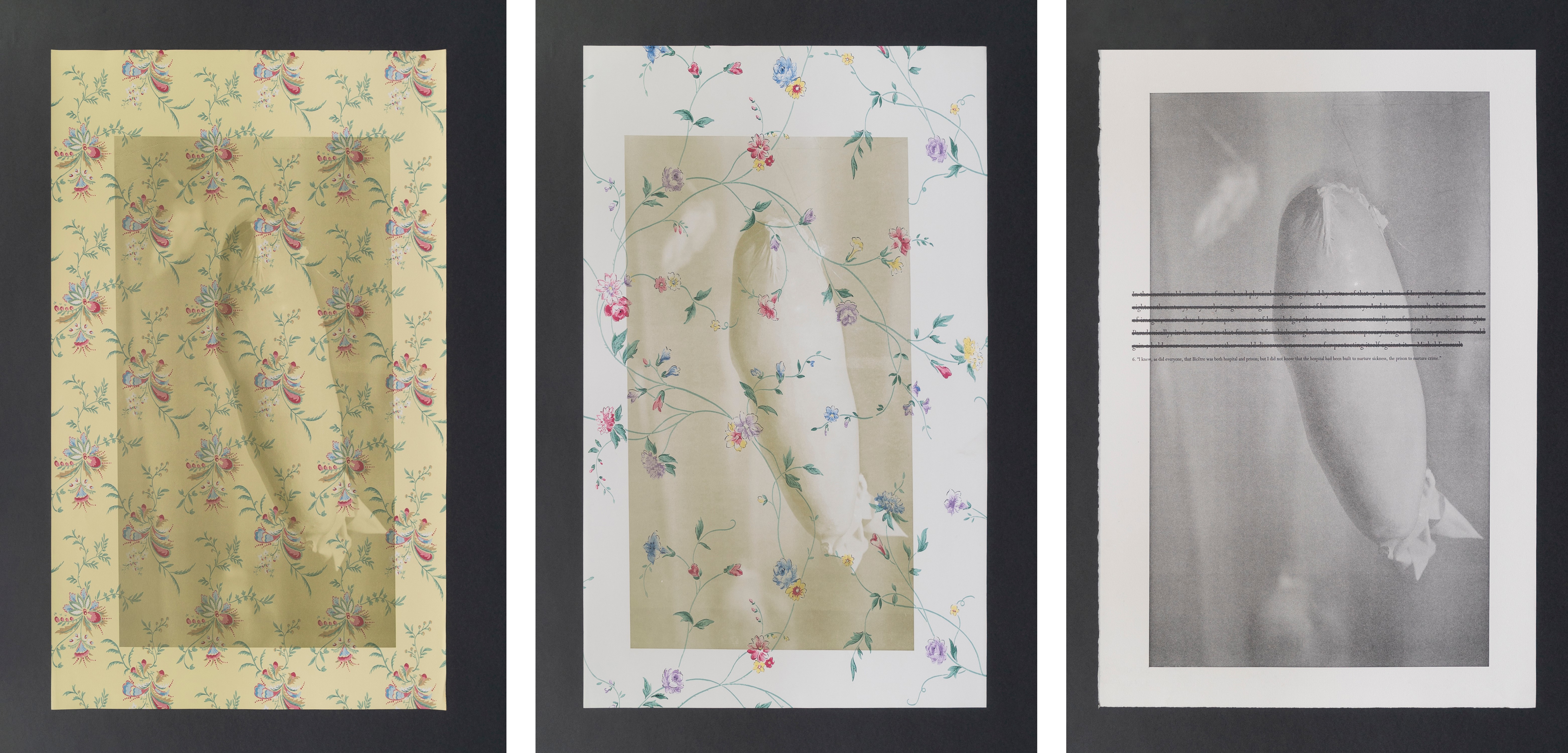 Predisposed 2a, Predisposed 2b, Predisposed 3