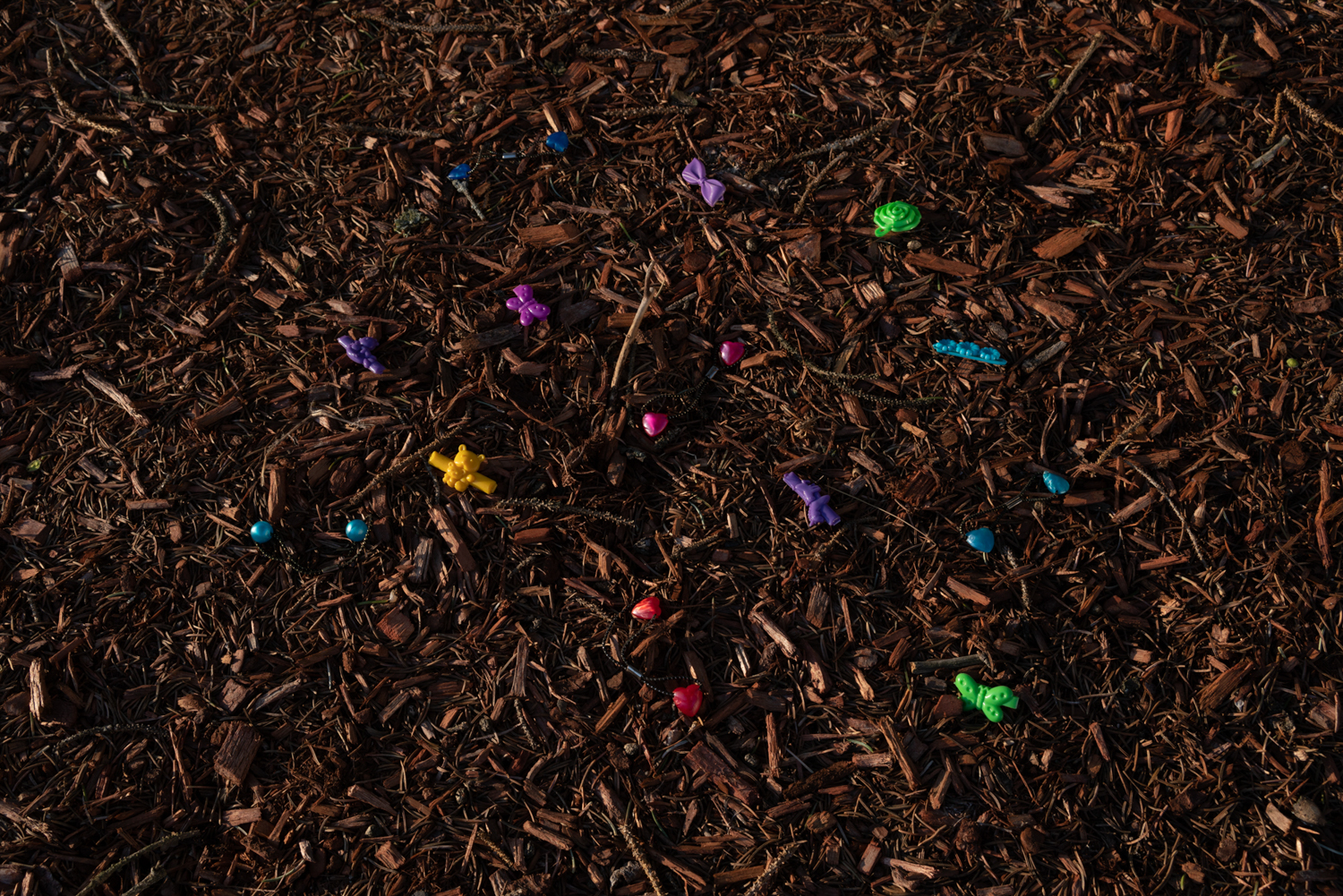 Untitled, 2021. Digital photograph.