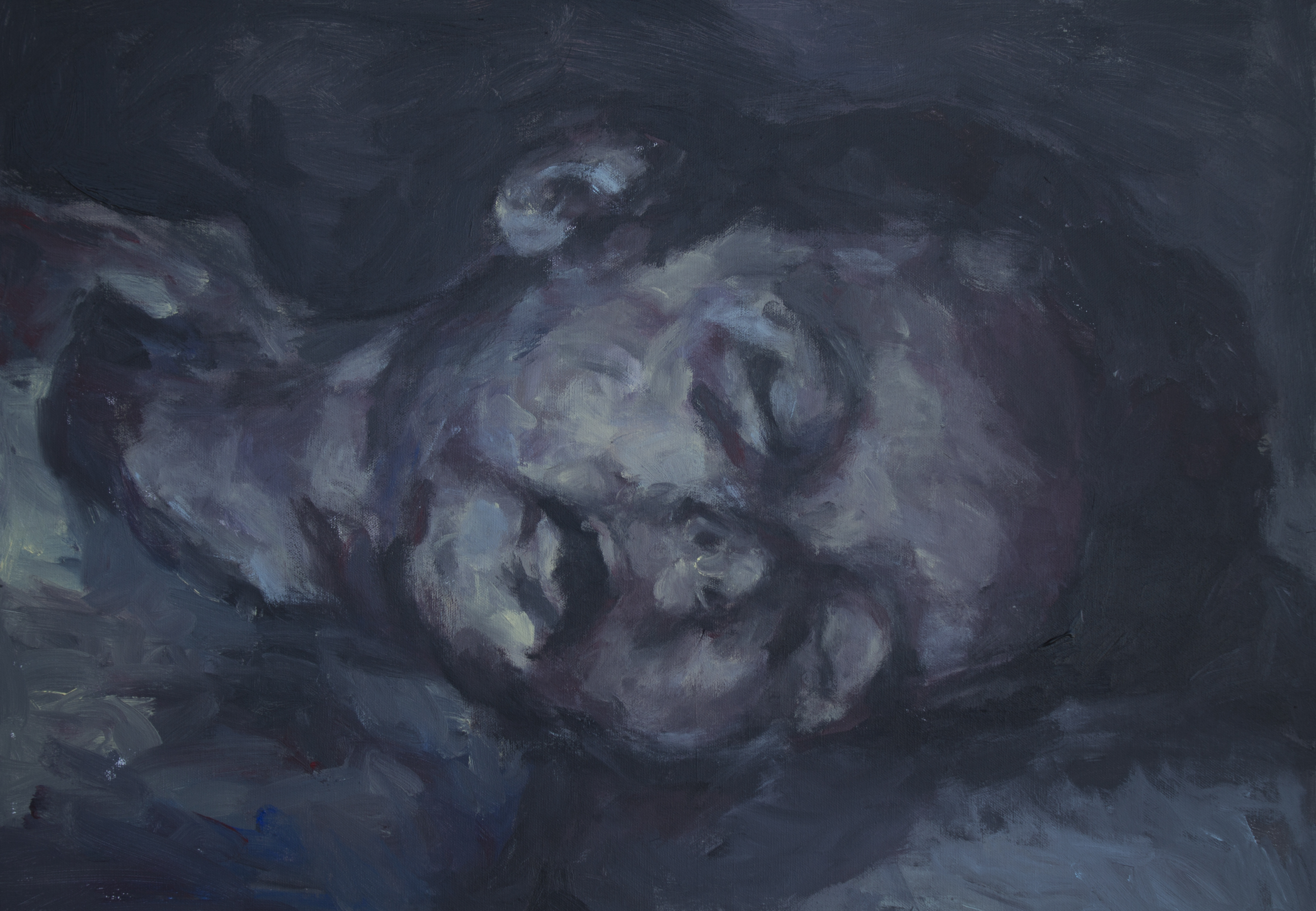 Untitled (Sleeping) 50x70cm Acrylic on Canvas
