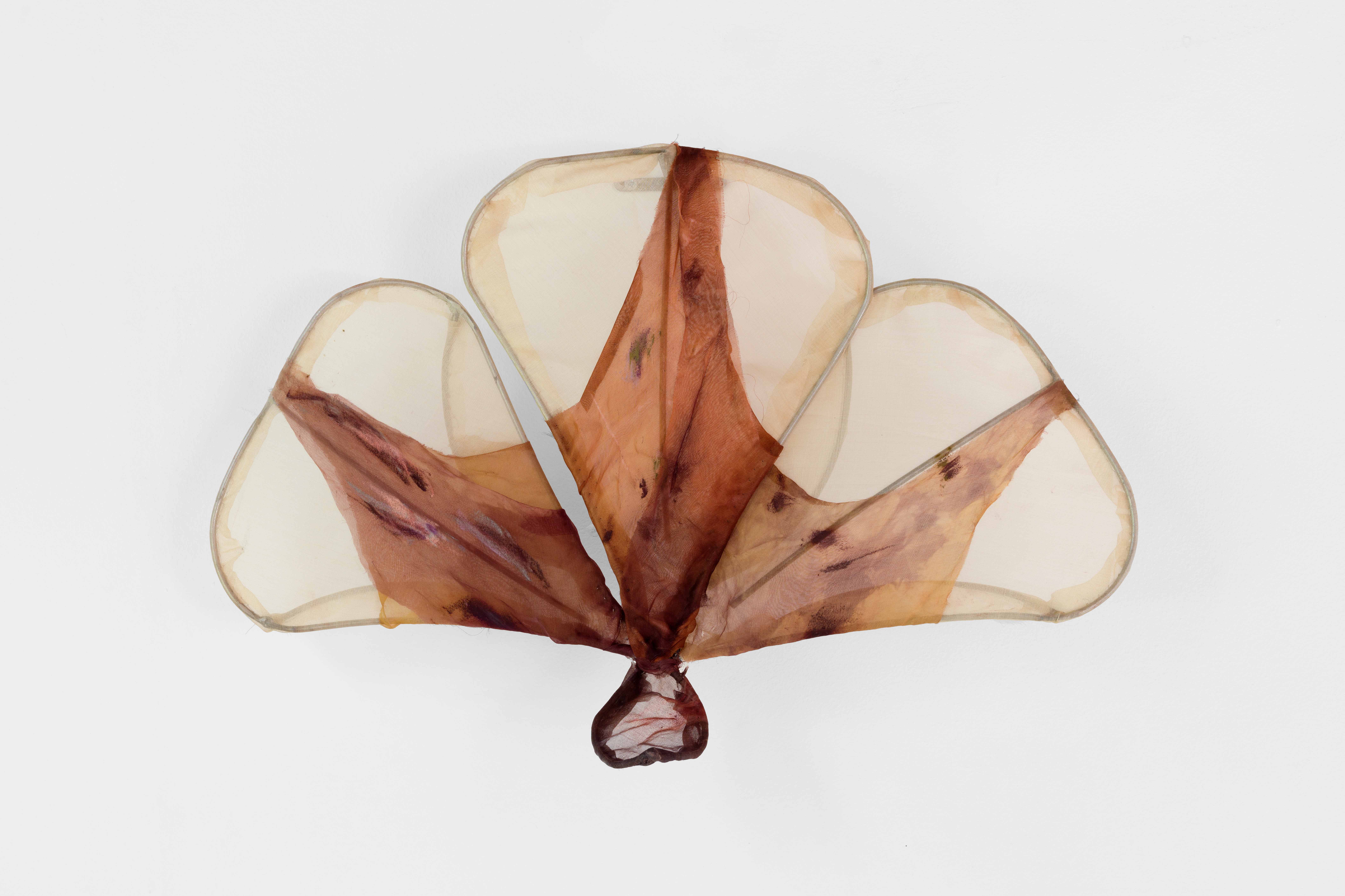 Antonia Brown, A latch that secreted the door II, 2022, Silk organza, dye, pigment, oil pastel, steel, thread, 38 x 52 cm