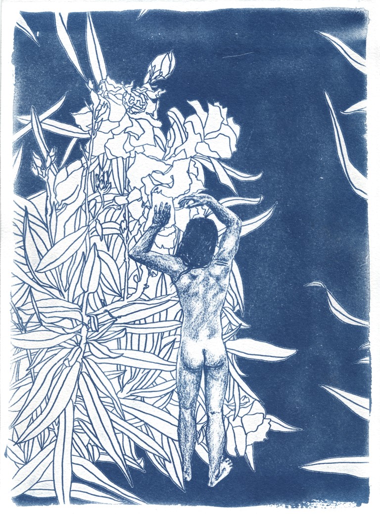 ‘In the Flowers’, original cyanotype on recycled cotton rag paper, 320 gsm,  21 x 28.5 cm
