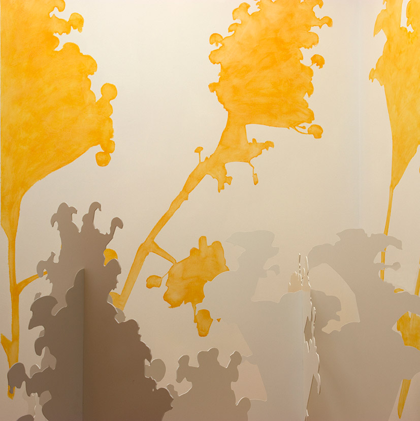 Giant Fennel - installation view 1