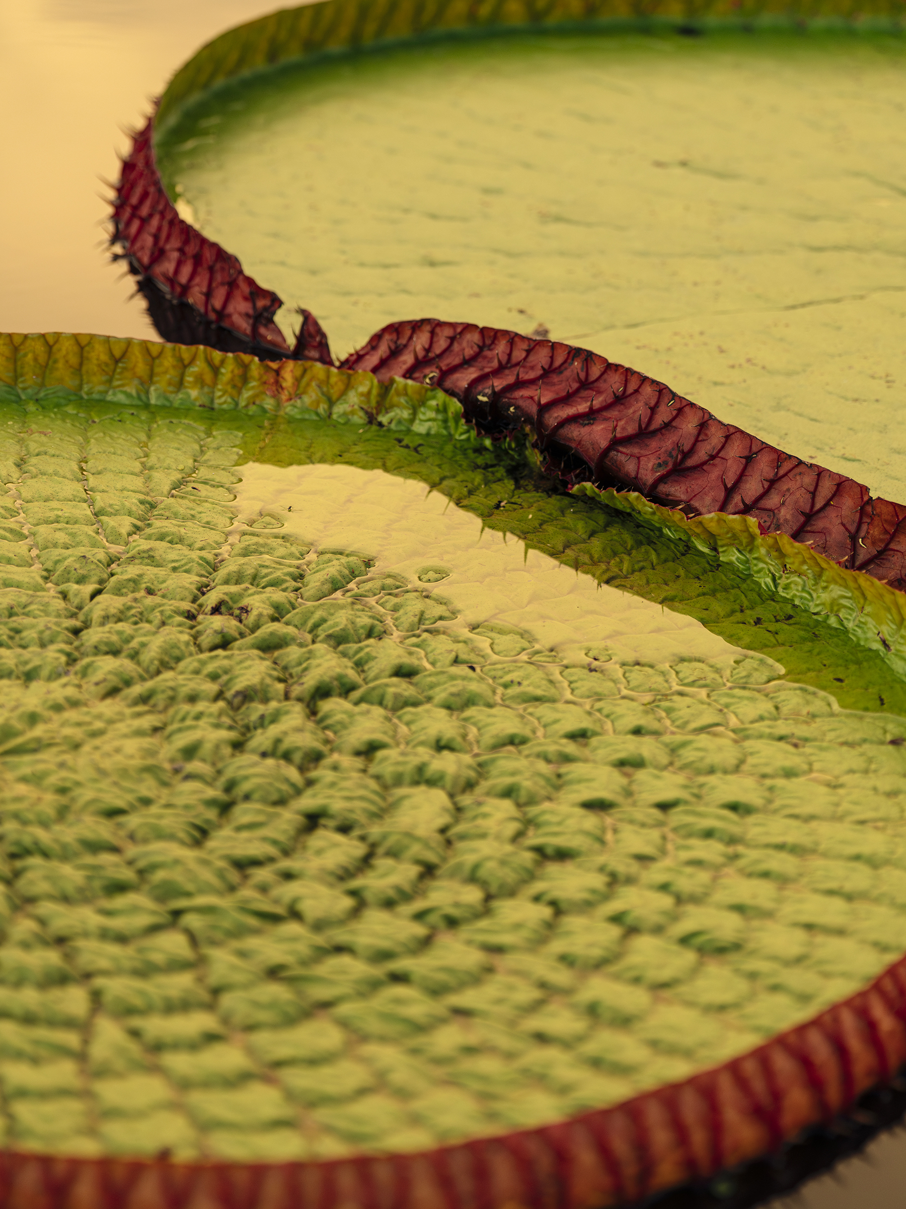 Guyana — Travel + Leisure, 2025