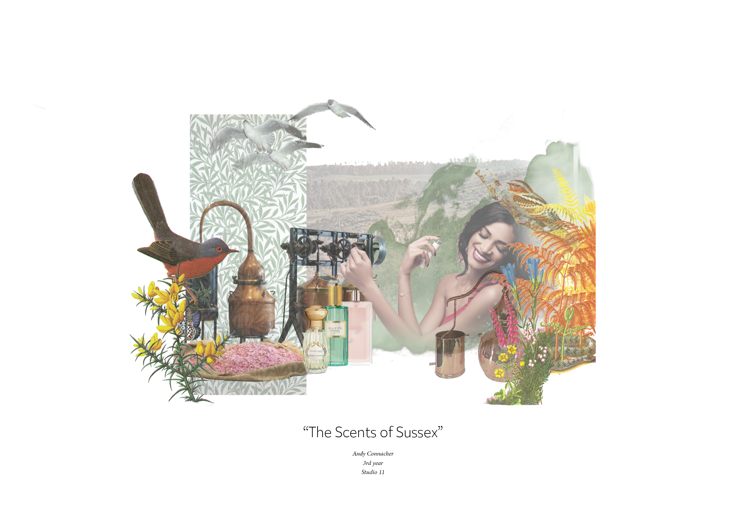 Montage of woman spraying perfume on herself surrounded by perfume making equipment and ingredients