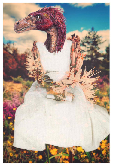 sites.seenphotography