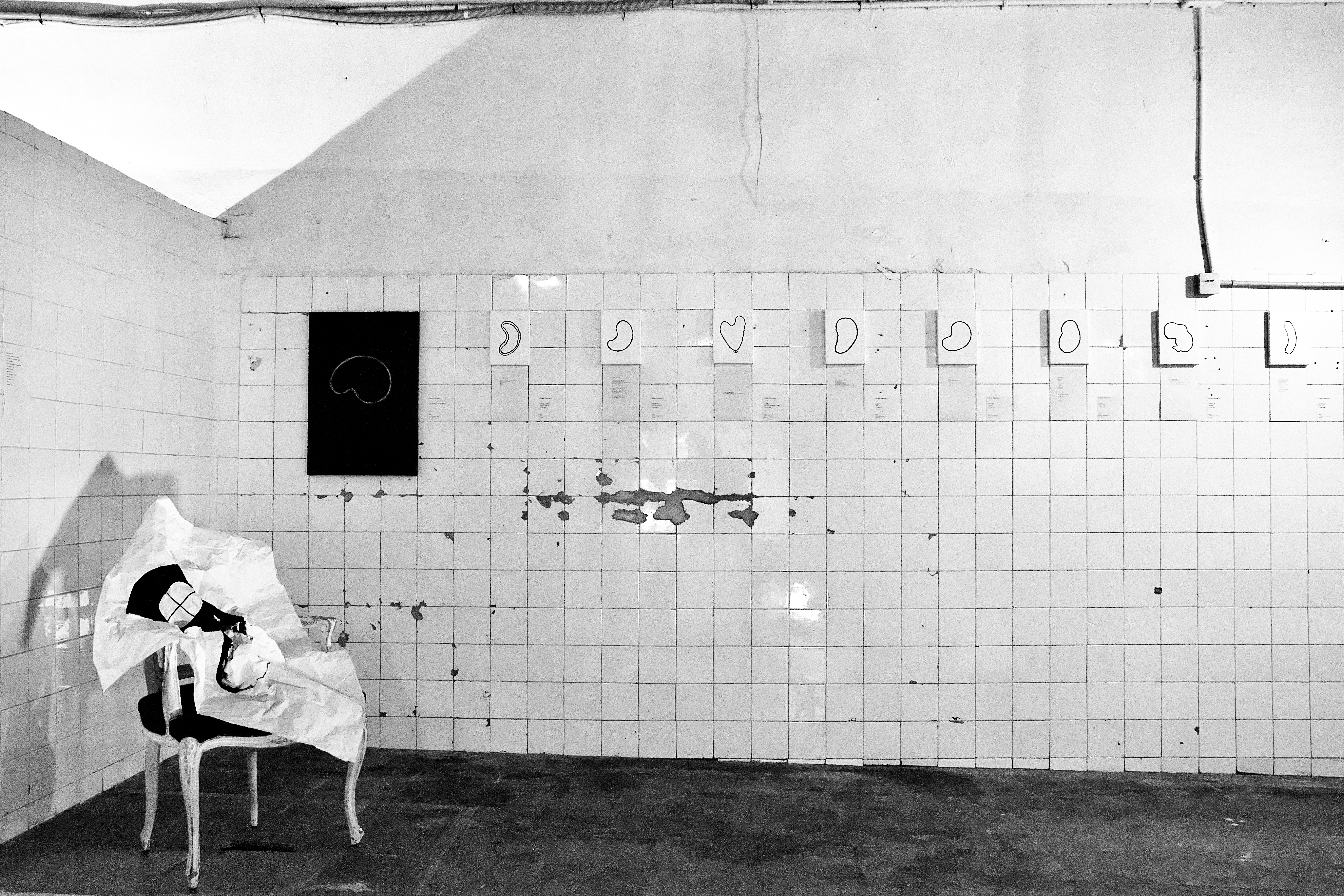 8 POEMAS DE FABIOLA REBOLLEDO 2023 16x22