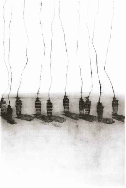 chromosome 1-2014 33X22