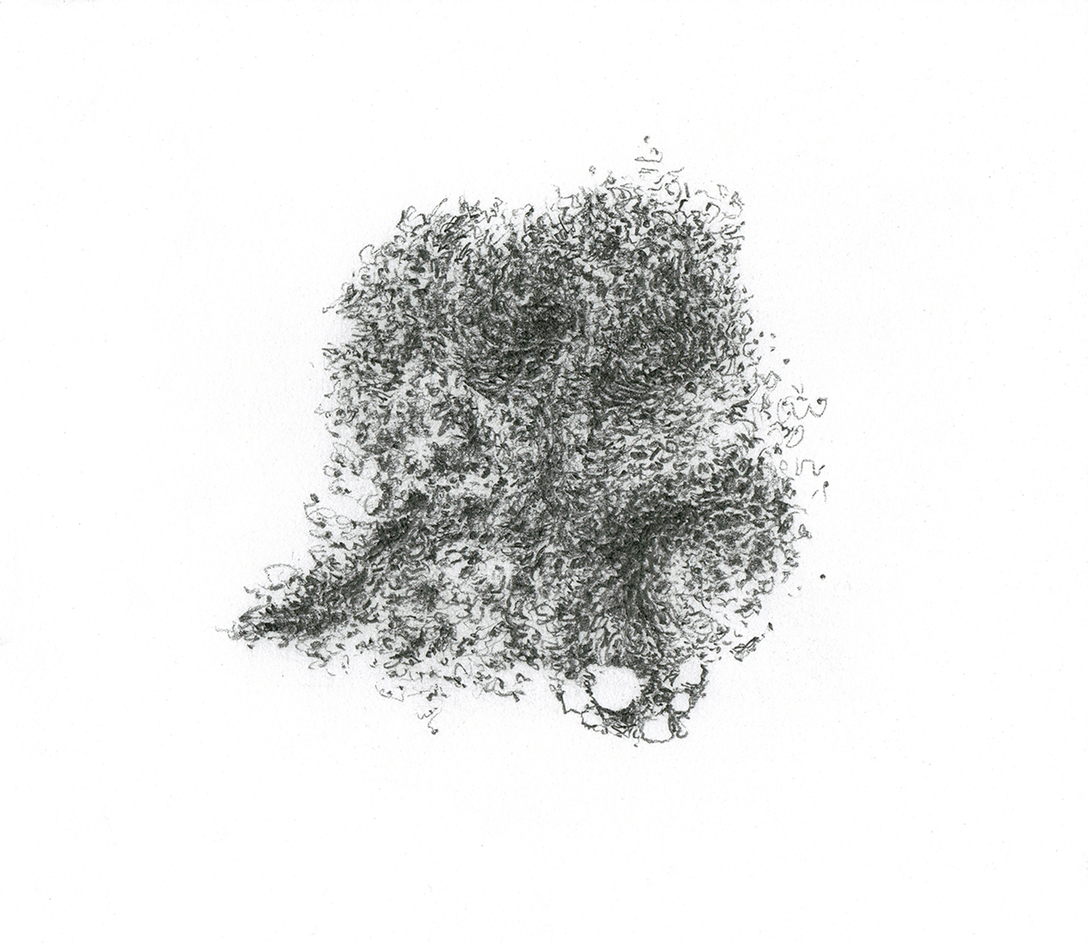 Process' processes (unframed)2015 &mdash; 2018