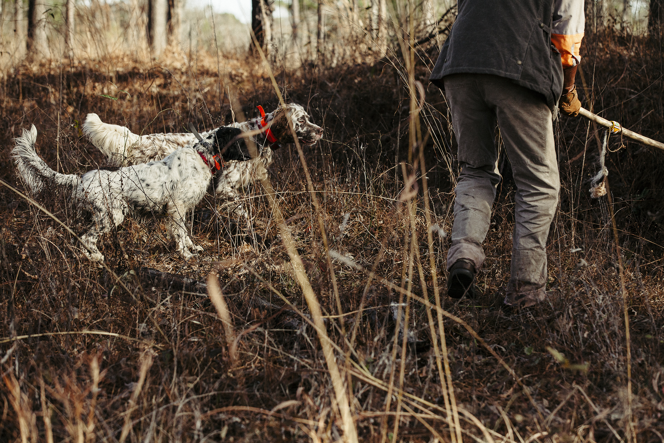 Bibb Co. AL/ Tom Beckbe