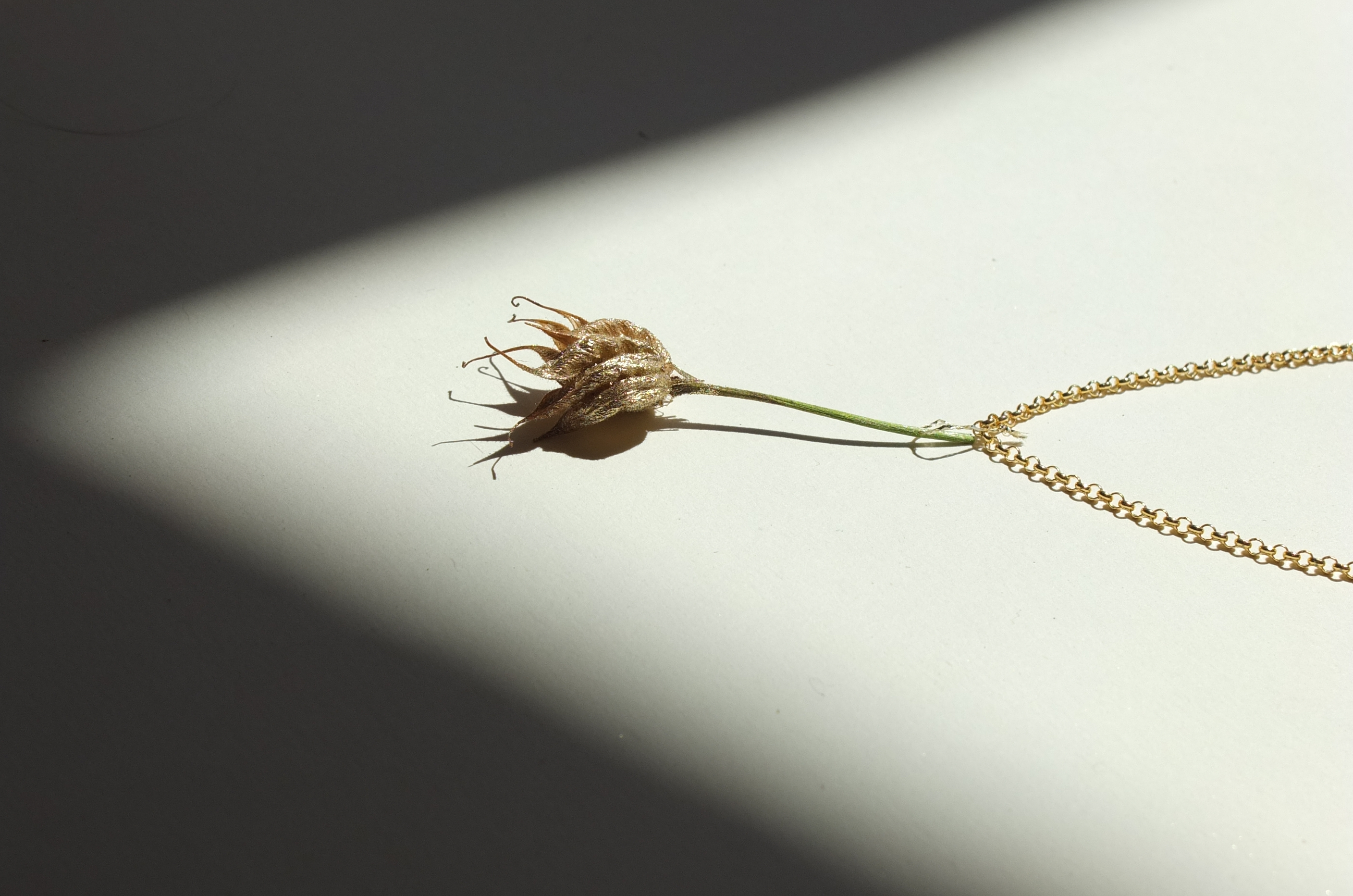 SCHMUCK es ist nicht alles gold, was glänzt