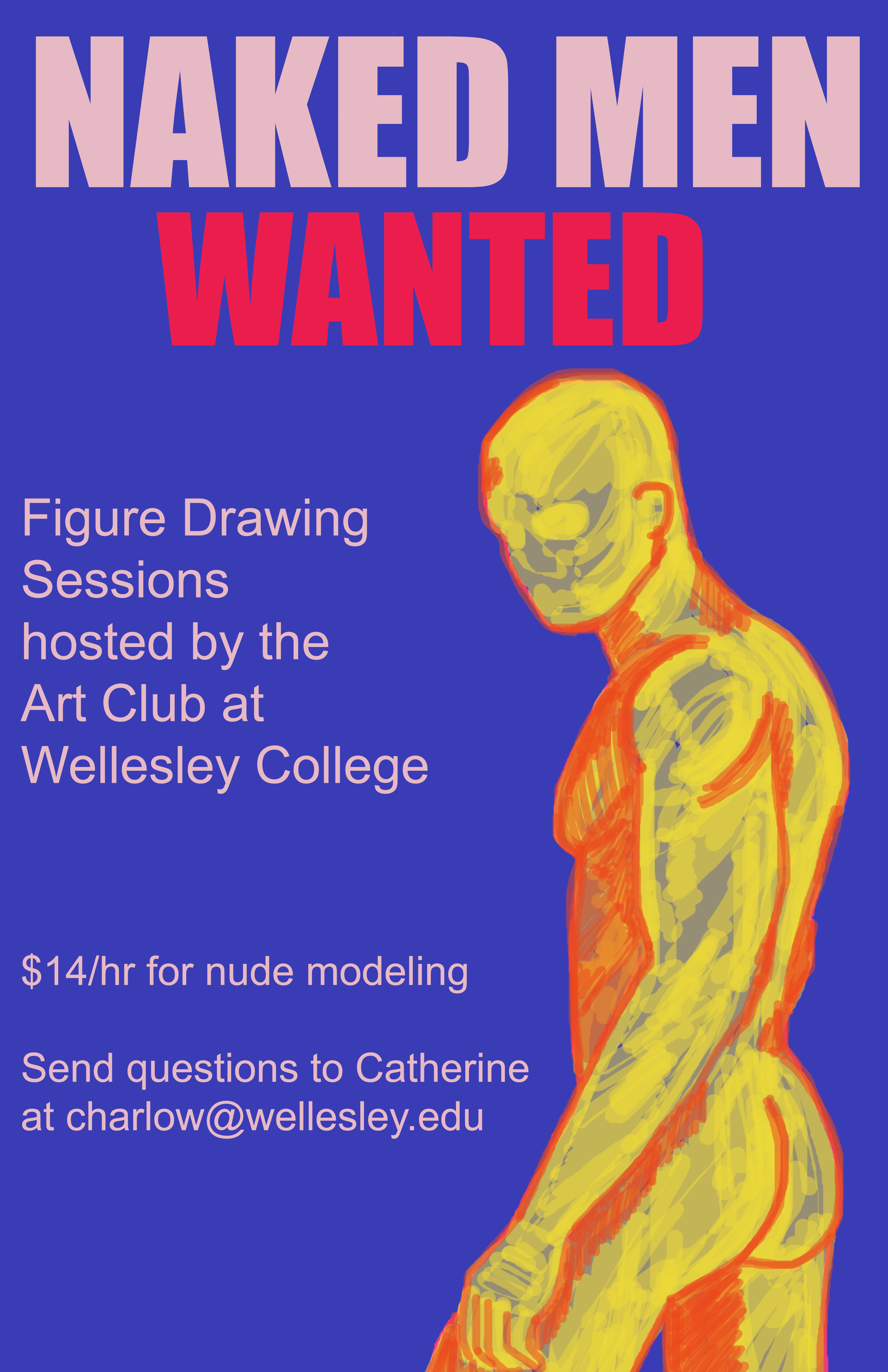 Naked Men Wanted - Julia Makivic