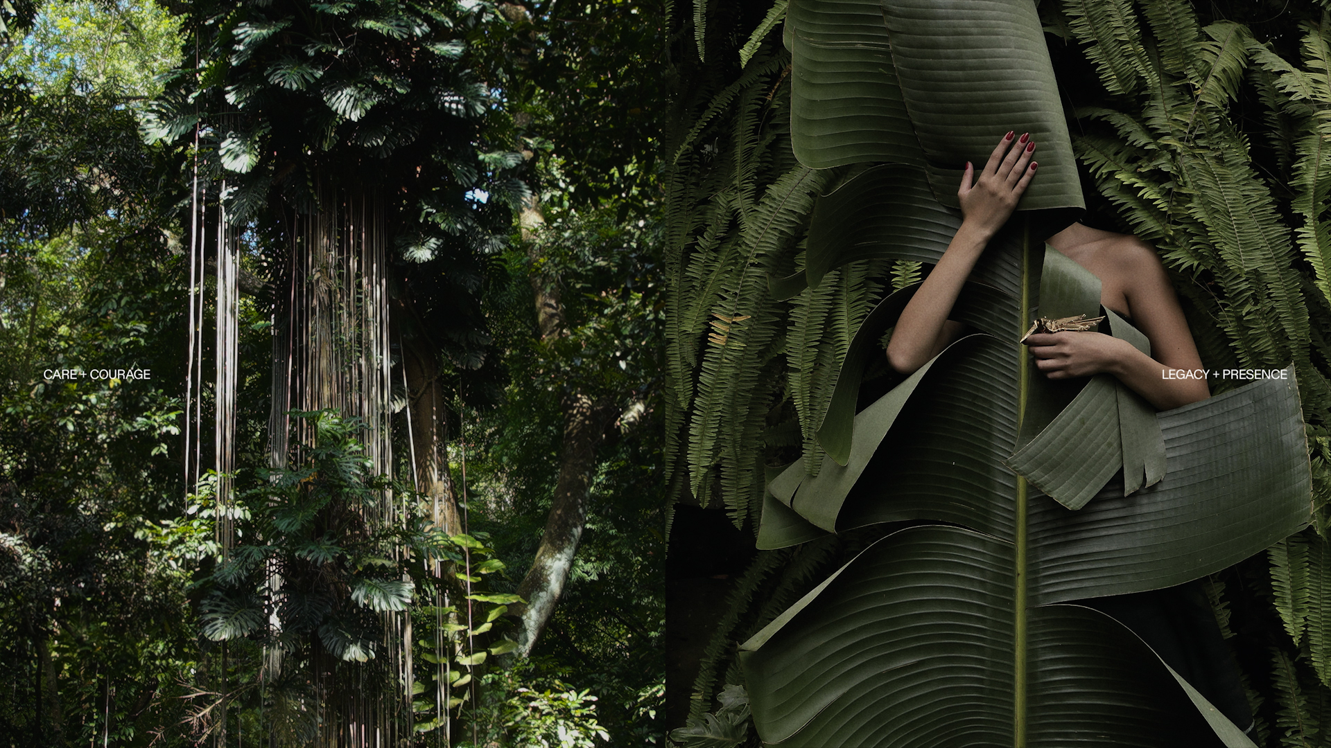 THE NAT – Redefining Heroes