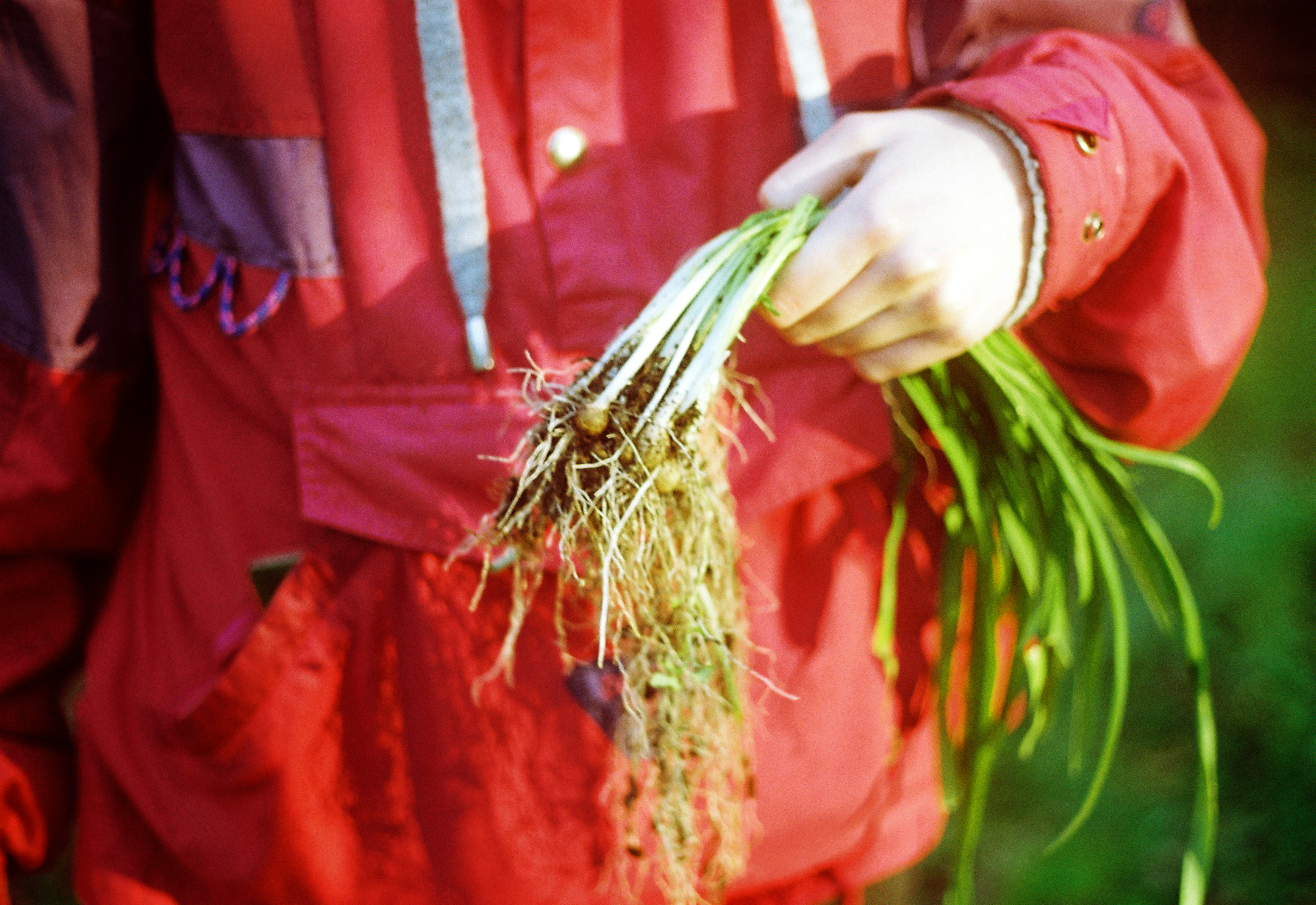 Ana Moreira, Porto Portugal, 2021, Canon FTb, Kodak Film