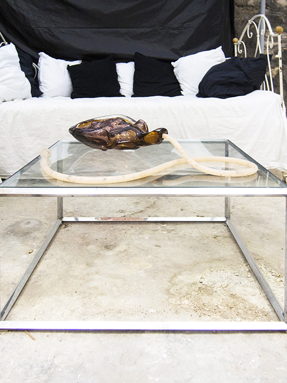 Extrakoporal, 2019, glass, silicone, variable dimensions