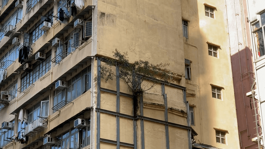 STEEL FRAME14:22MONG KOK