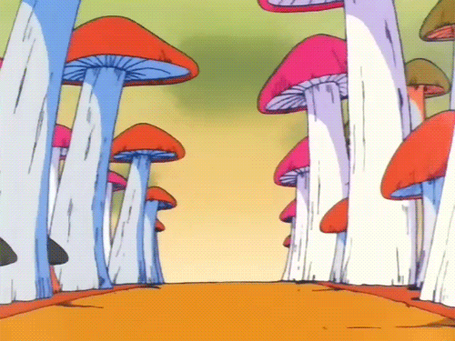 MAGIC MUSHROOMS