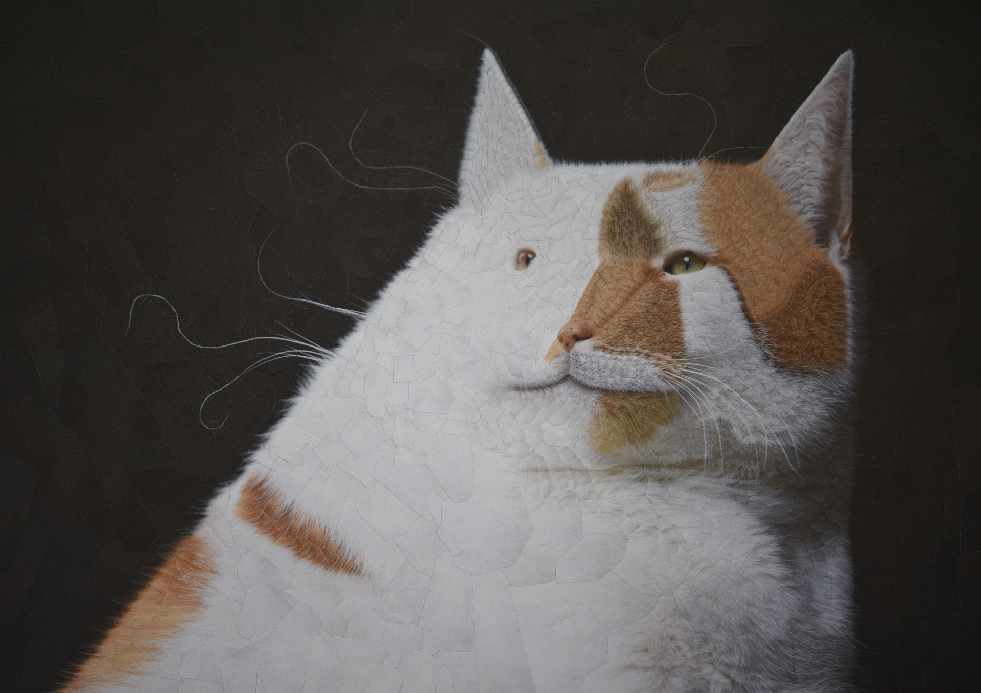 Charlie 33, 2021, 11.6 x 8.2 inches