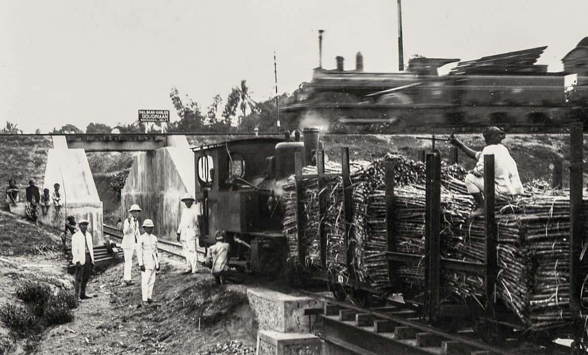 The fast NISM train (Nederlands-Indische Spoorweg Maatschappij) crossing the sugar cane line